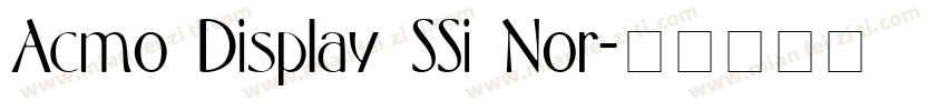 Acmo Display SSi Nor字体转换